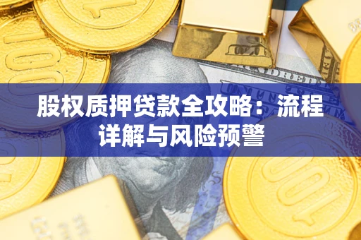 北京股权质押贷款全攻略：流程详解与风险预警
