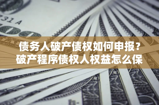 北京债务人破产债权如何申报？破产程序债权人权益怎么保障？