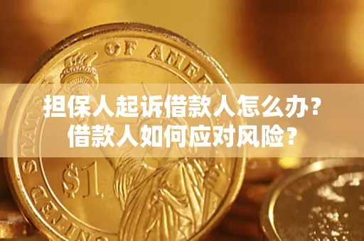 北京担保人起诉借款人怎么办？借款人如何应对风险？