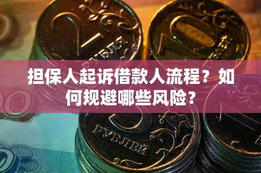 北京担保人起诉借款人流程？如何规避哪些风险？