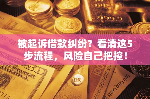 北京被起诉借款纠纷？看清这5步流程，风险自己把控！